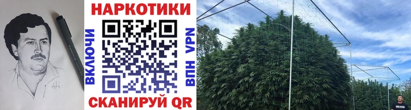 Все наркотики Ялта ГАШ Cocaine МДМА СОЛЬ Каннабис МЕФ
